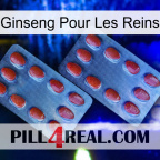 Ginseng For Kidney 05